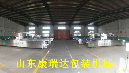 小烤腸全自動連續拉伸膜真空包裝機選購指南 如何識別優質機電設備