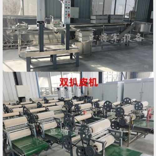 豆將軍100斤豆腐皮機(jī) 不銹鋼豆腐皮加工設(shè)備的技術(shù)開(kāi)發(fā)與廠家實(shí)力解析